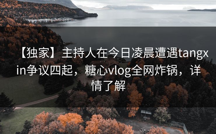 【独家】主持人在今日凌晨遭遇tangxin争议四起，糖心vlog全网炸锅，详情了解