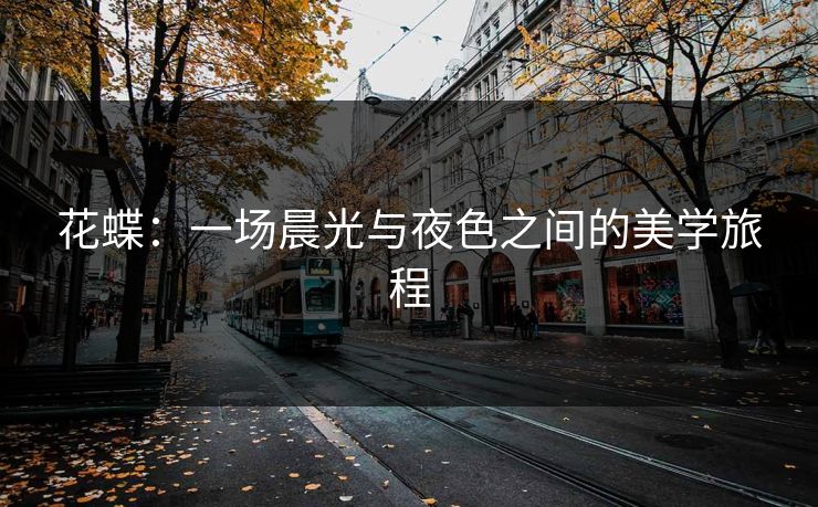 花蝶：一场晨光与夜色之间的美学旅程