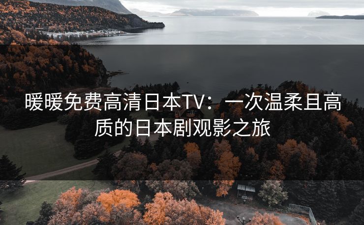 暖暖免费高清日本TV：一次温柔且高质的日本剧观影之旅