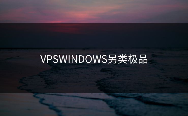 VPSWINDOWS另类极品